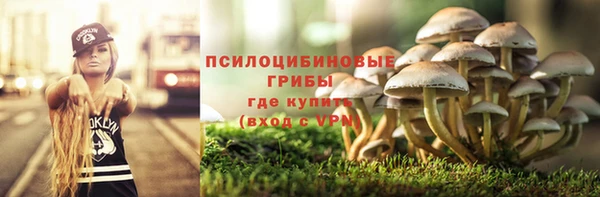 PSILOCYBIN Куйбышев