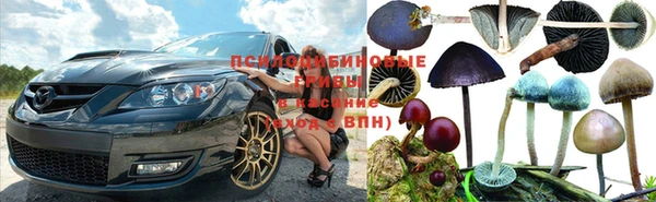 марихуана Кукмор