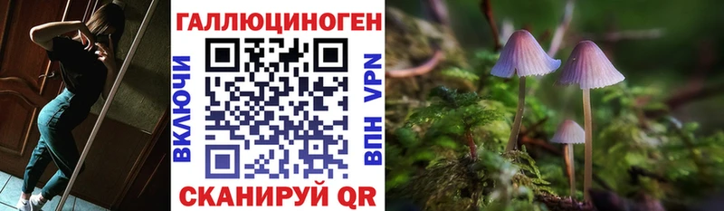 Псилоцибиновые грибы Psilocybe  Билибино 