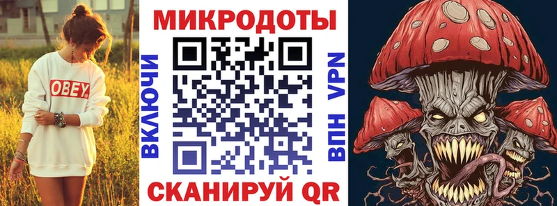Галлюциногенные грибы Psilocybine cubensis Билибино